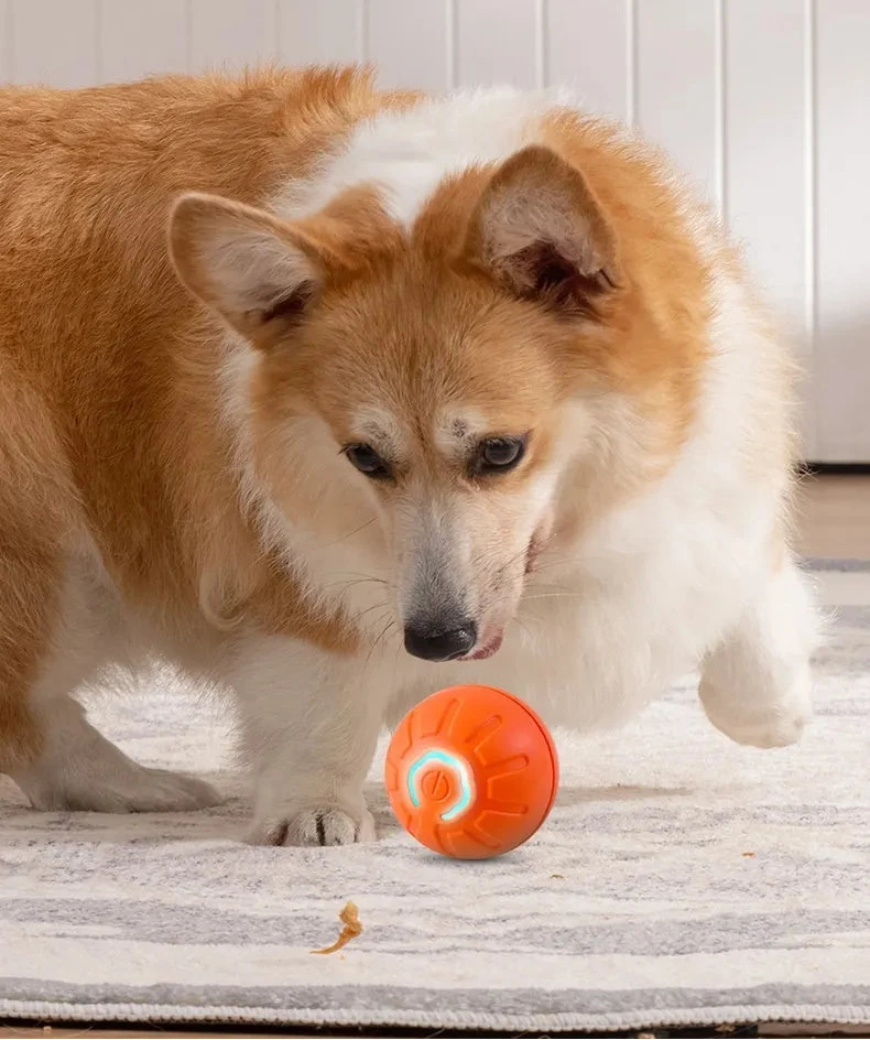 Smart Interactive Dog Toy Ball